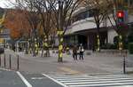 20061124_01gairoju.JPG